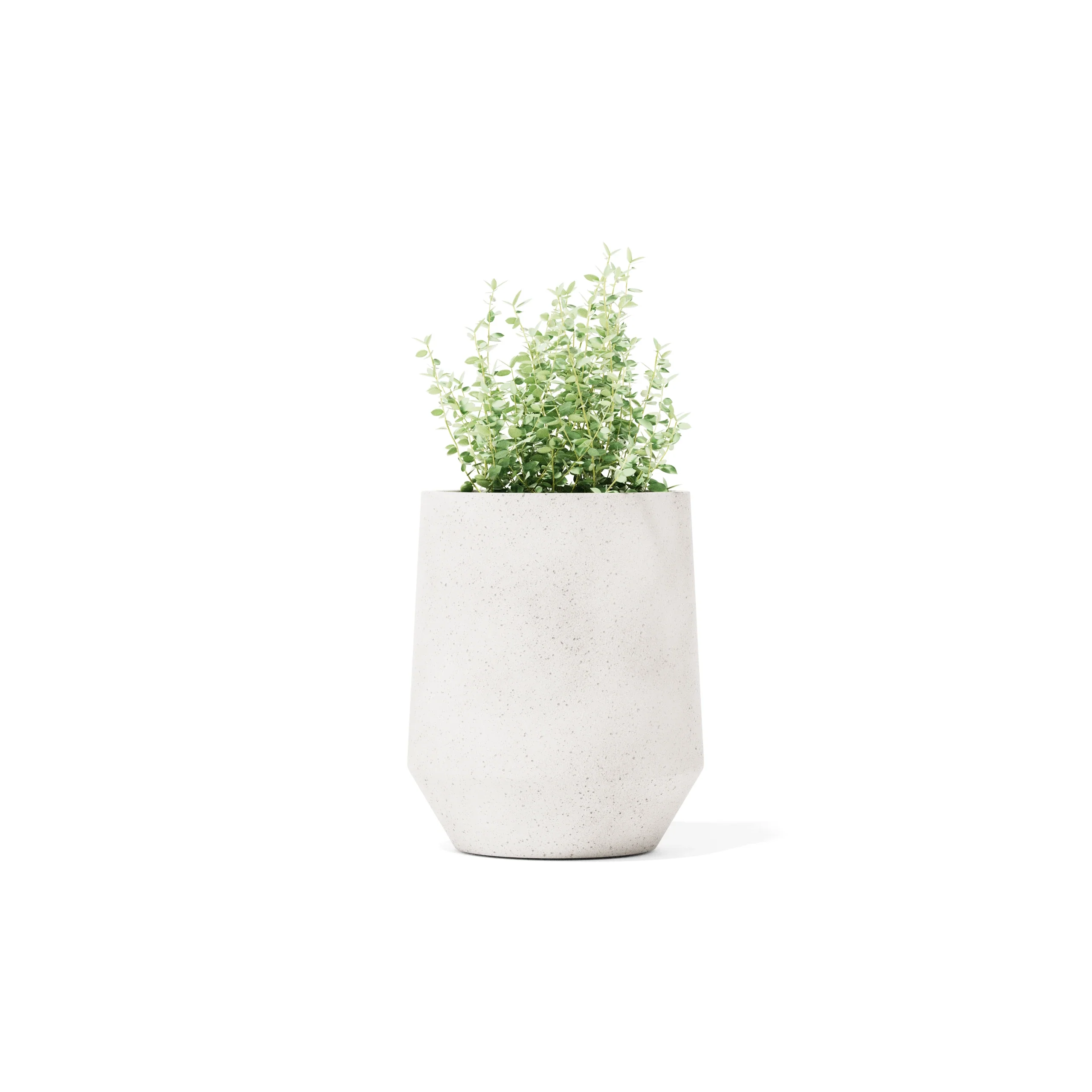 Champ Planter - Image 2