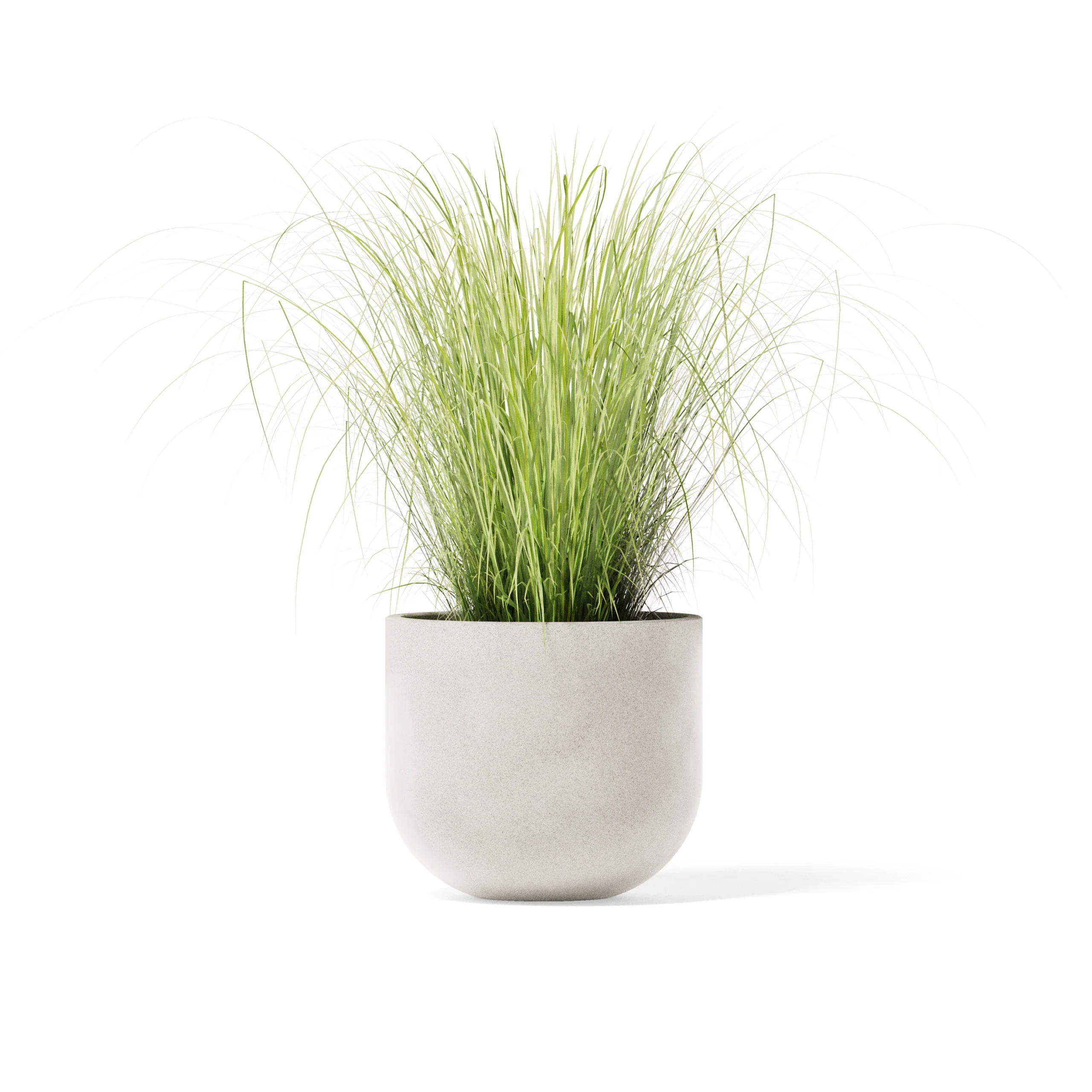 Settle Planter - Image 3